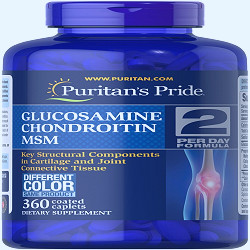 Puritans Pride Triple Strength Glucosamine Chondroitin MSM Joint Soother  360Caps | Being Patient